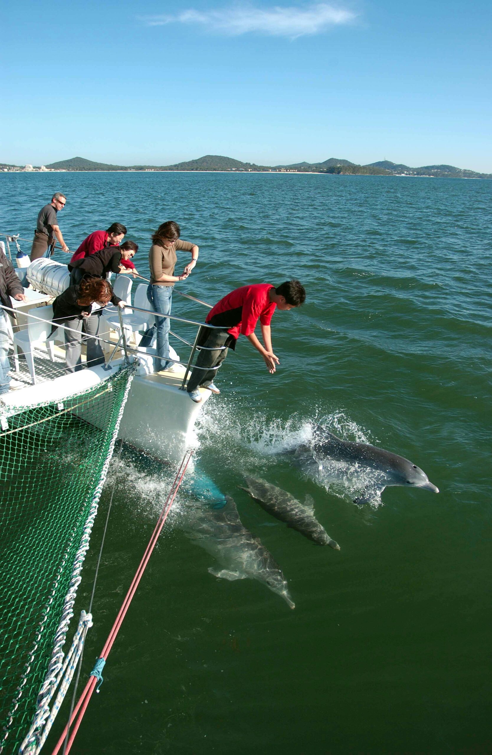 Dolphin Watch + Sailing Cruise