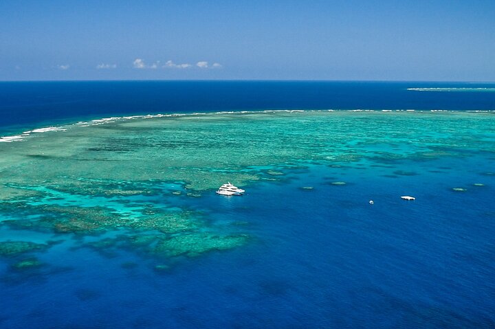 Mission Beach to Cairns (ONE WAY) Private Transfer 1 to 6 pax