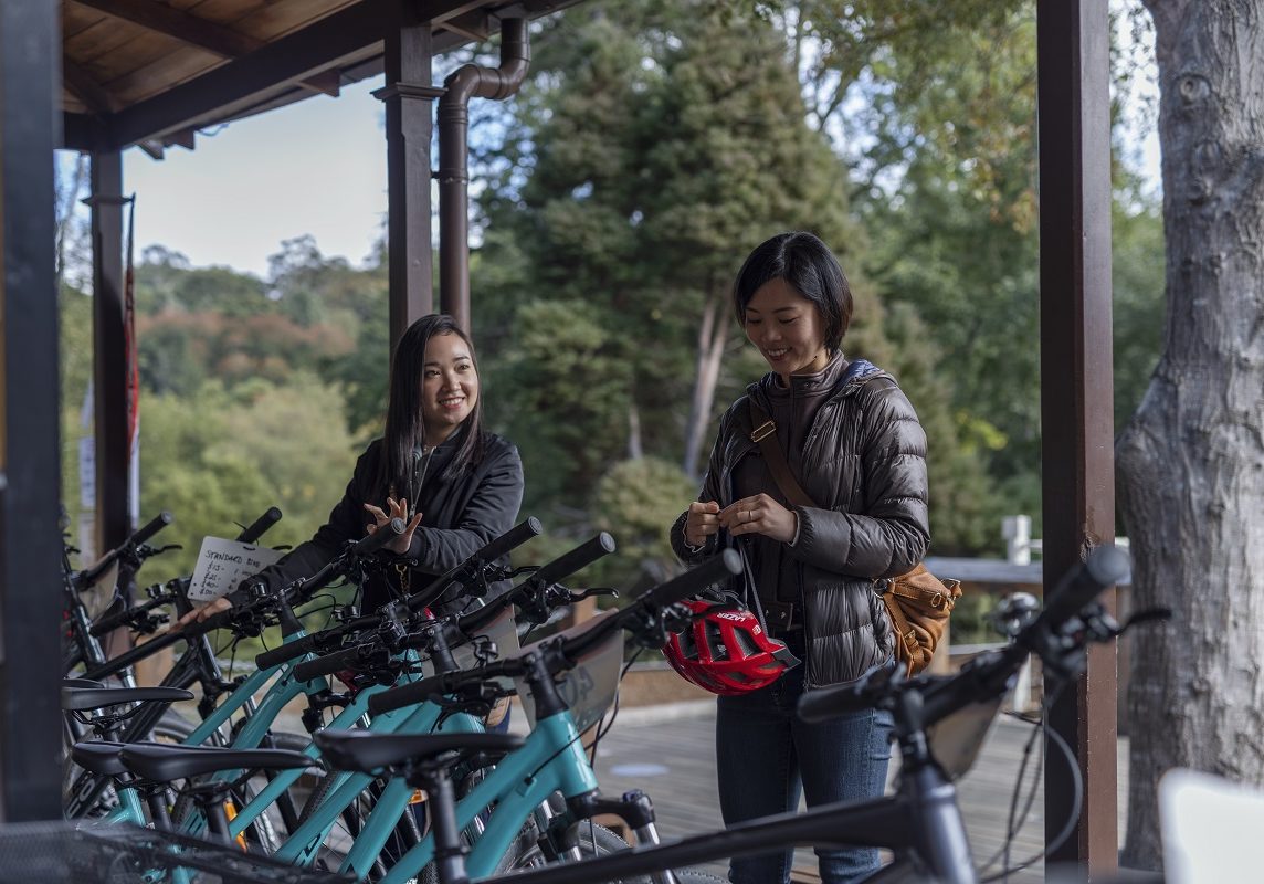 Northern Rivers Rail Trail Backpacker Package - Bike Hire And Transport From Byron Bay