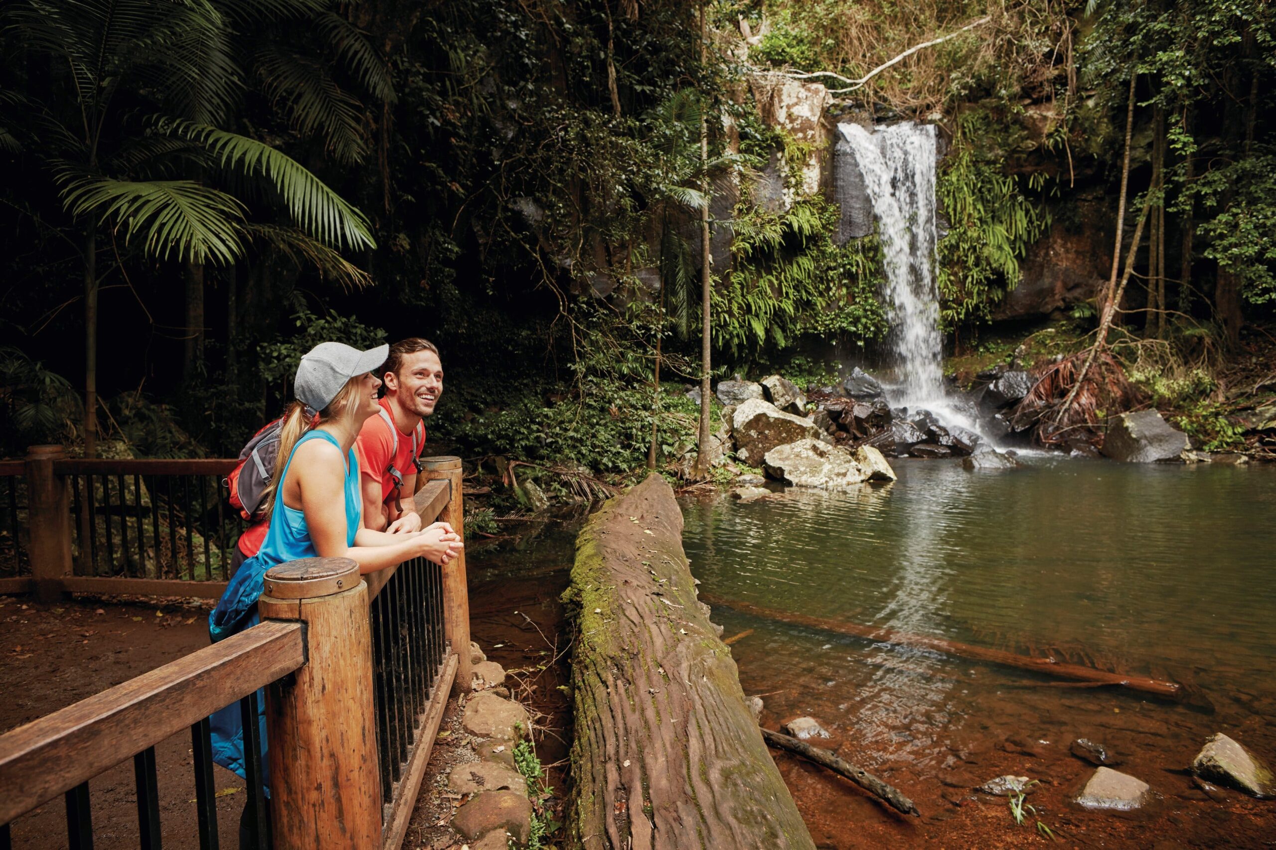 Hop on Hop Off Bus - Tamborine Mountain - from Gold Coast