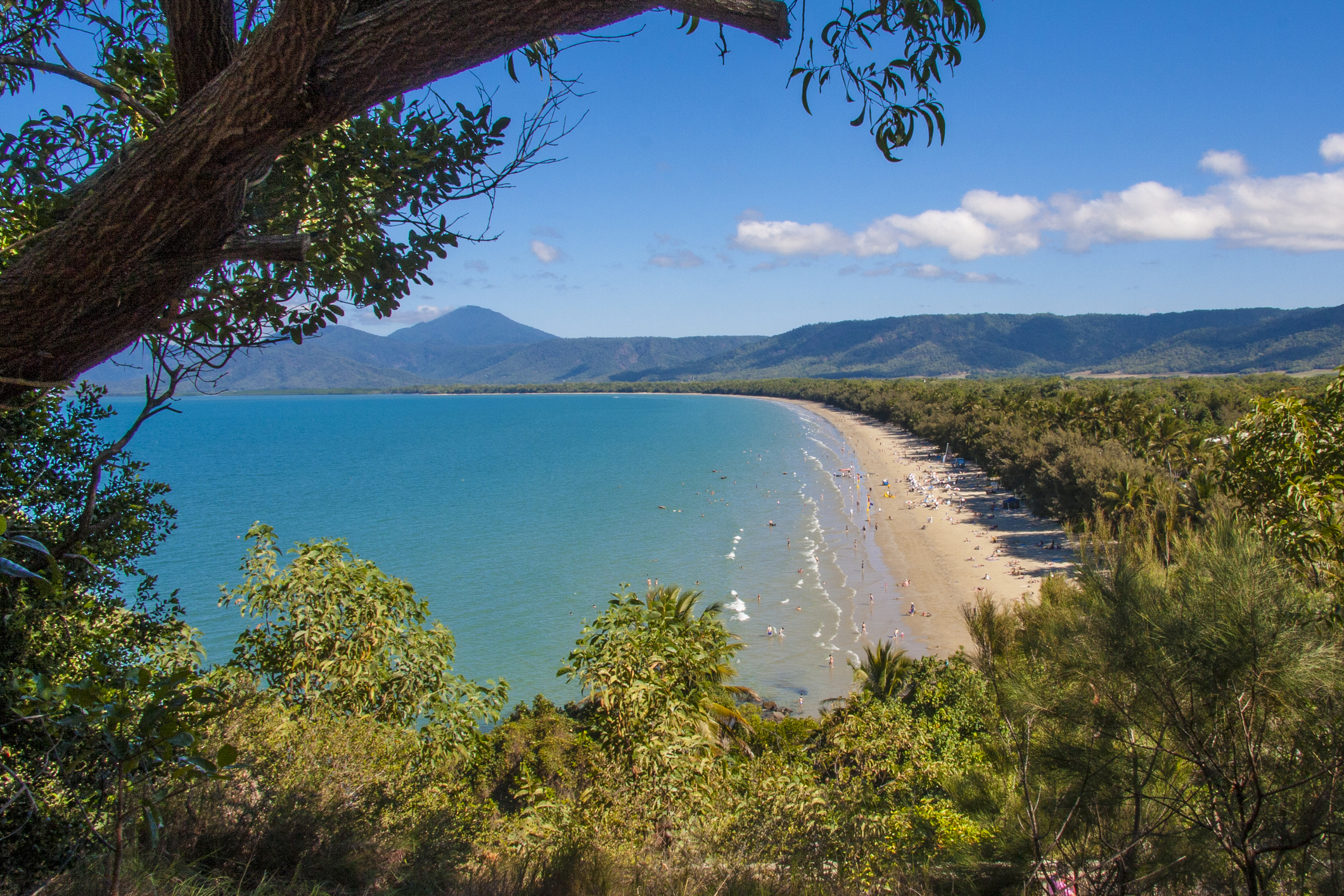 MOSSMAN GORGE DAINTREE EXPERIENCE