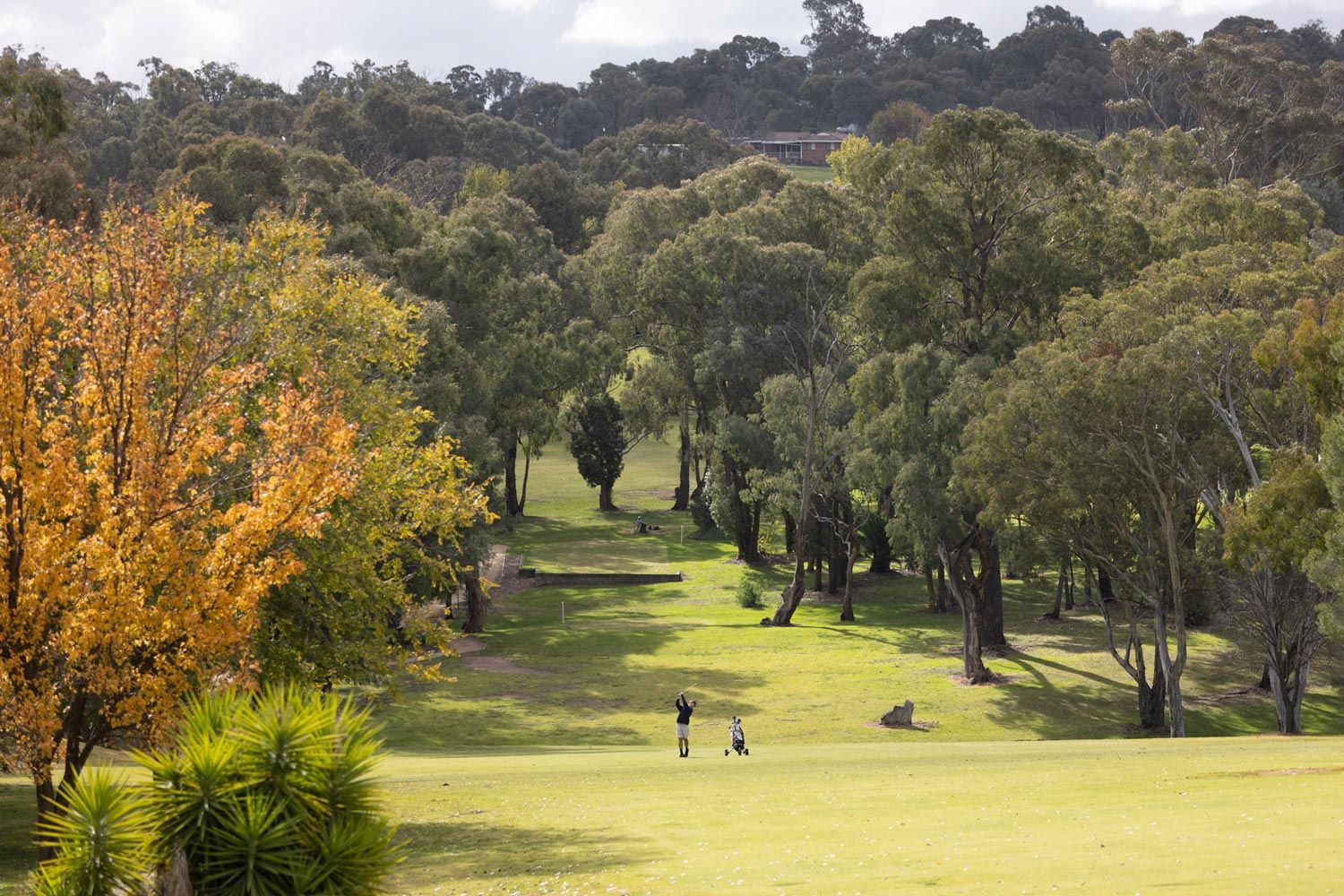 Young Golf Club (NSW) One Night Stay & Play Golf Package