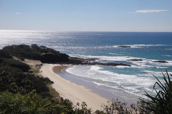 Stradbroke Island: 4WD Tour with Wildlife Watching & Damper