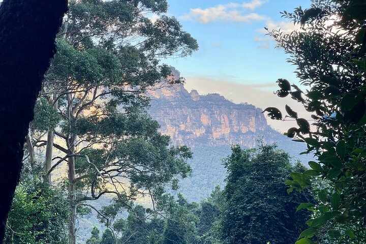 Blue Mountains Day Trip From Sydney