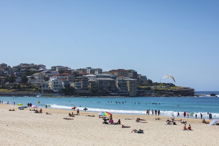 Iconic Sydney and Bondi Day Tour Including Rocks Walking Tour