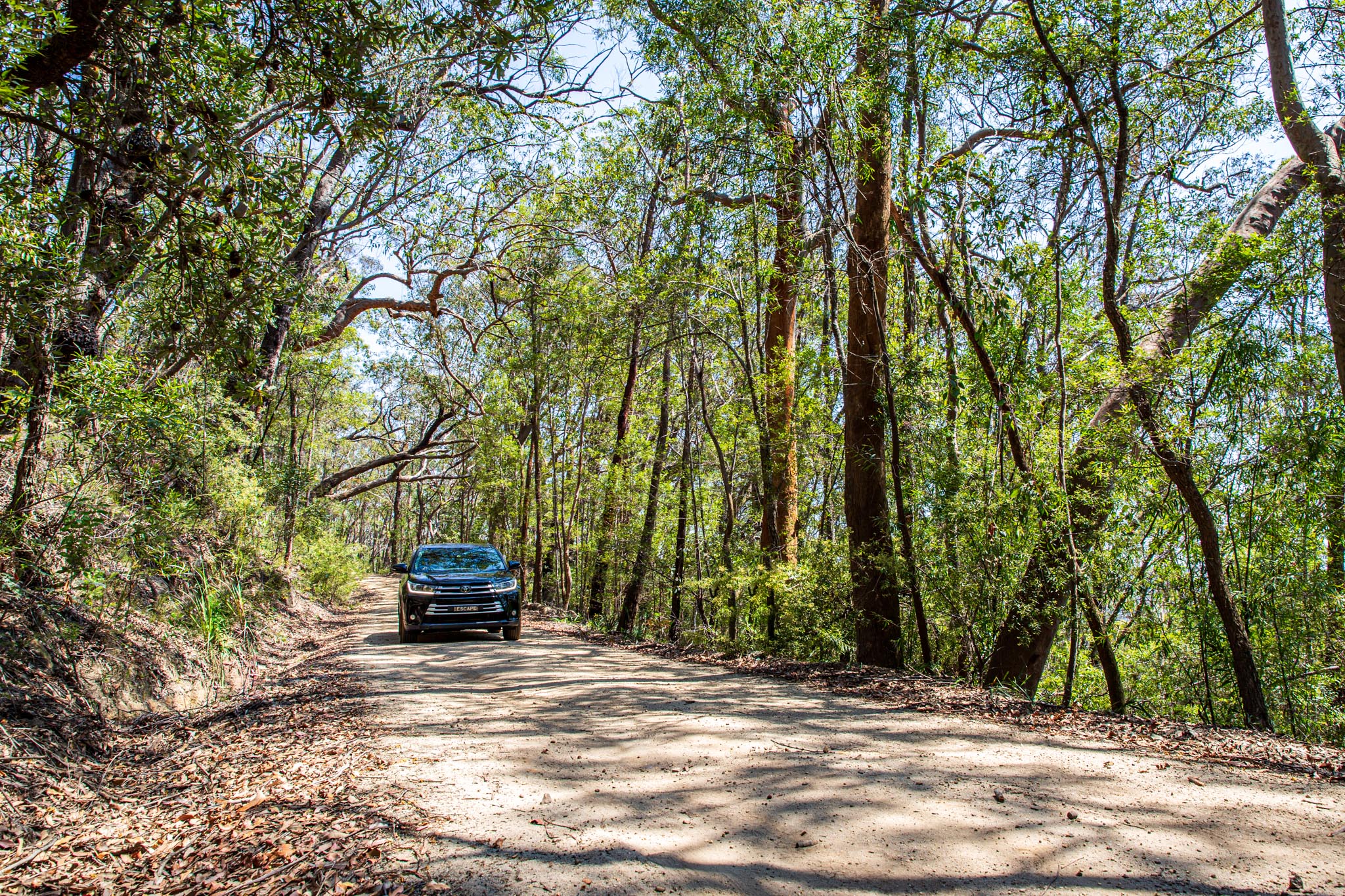 Private Blue Mountains Dirt Road Adventure