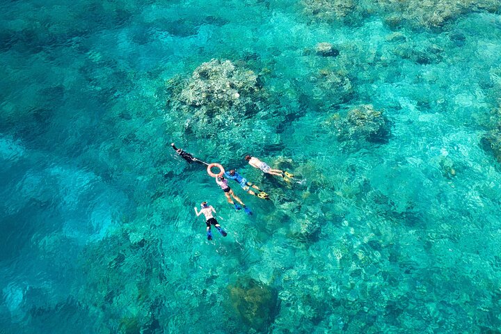 Great Barrier Reef Snorkel Special in Cairns