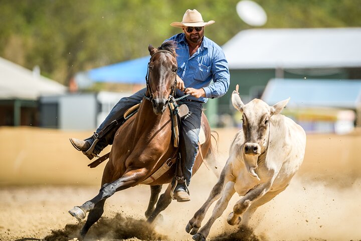 Horse Riding Adventure in the Outback