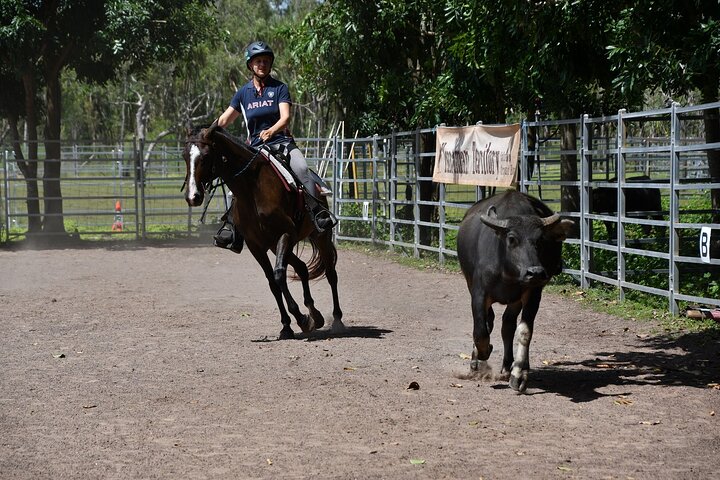 Horse Riding Adventure in the Outback