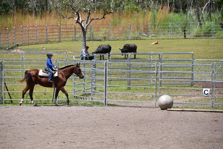 Horse Riding Adventure in the Outback