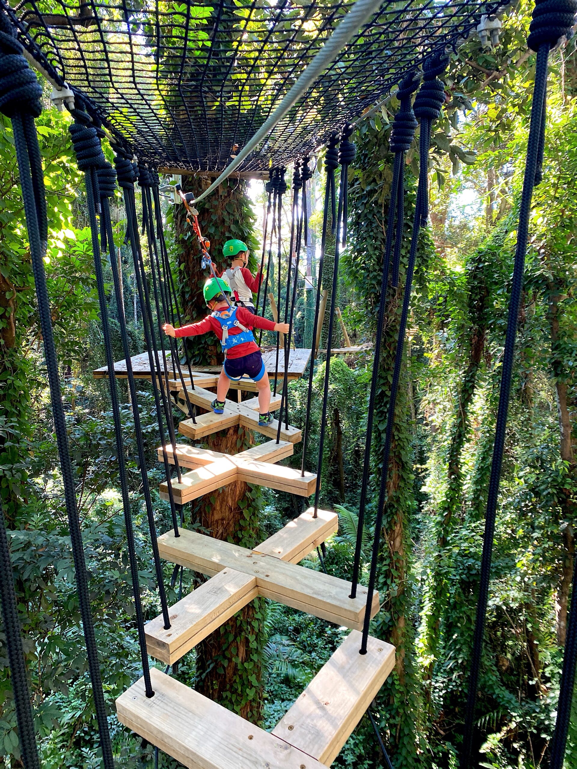 Sunshine Coast Junior Zipline Adventure - TreeTop Challenge