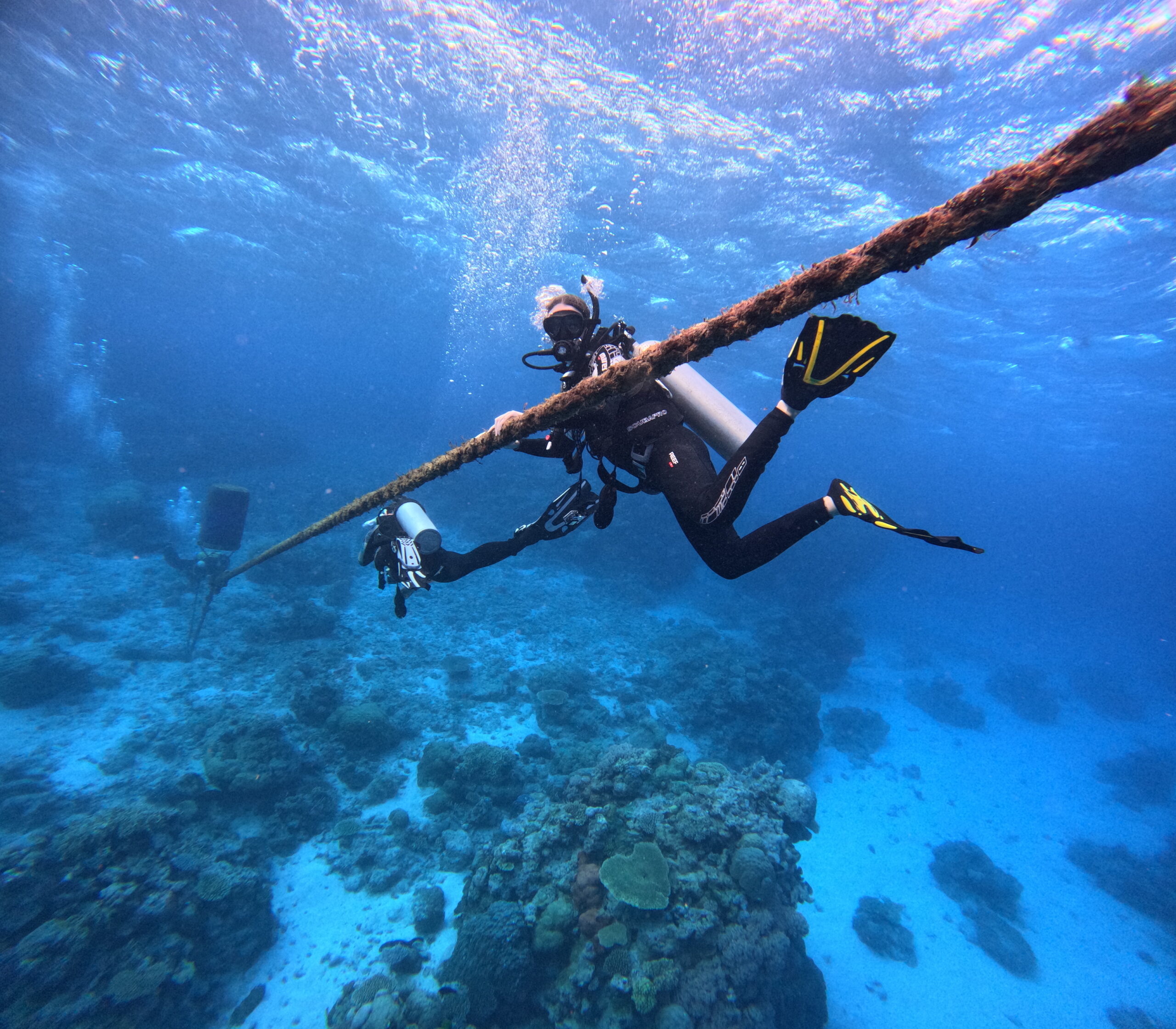 Privately Guided Dive Trip - Outer Reef