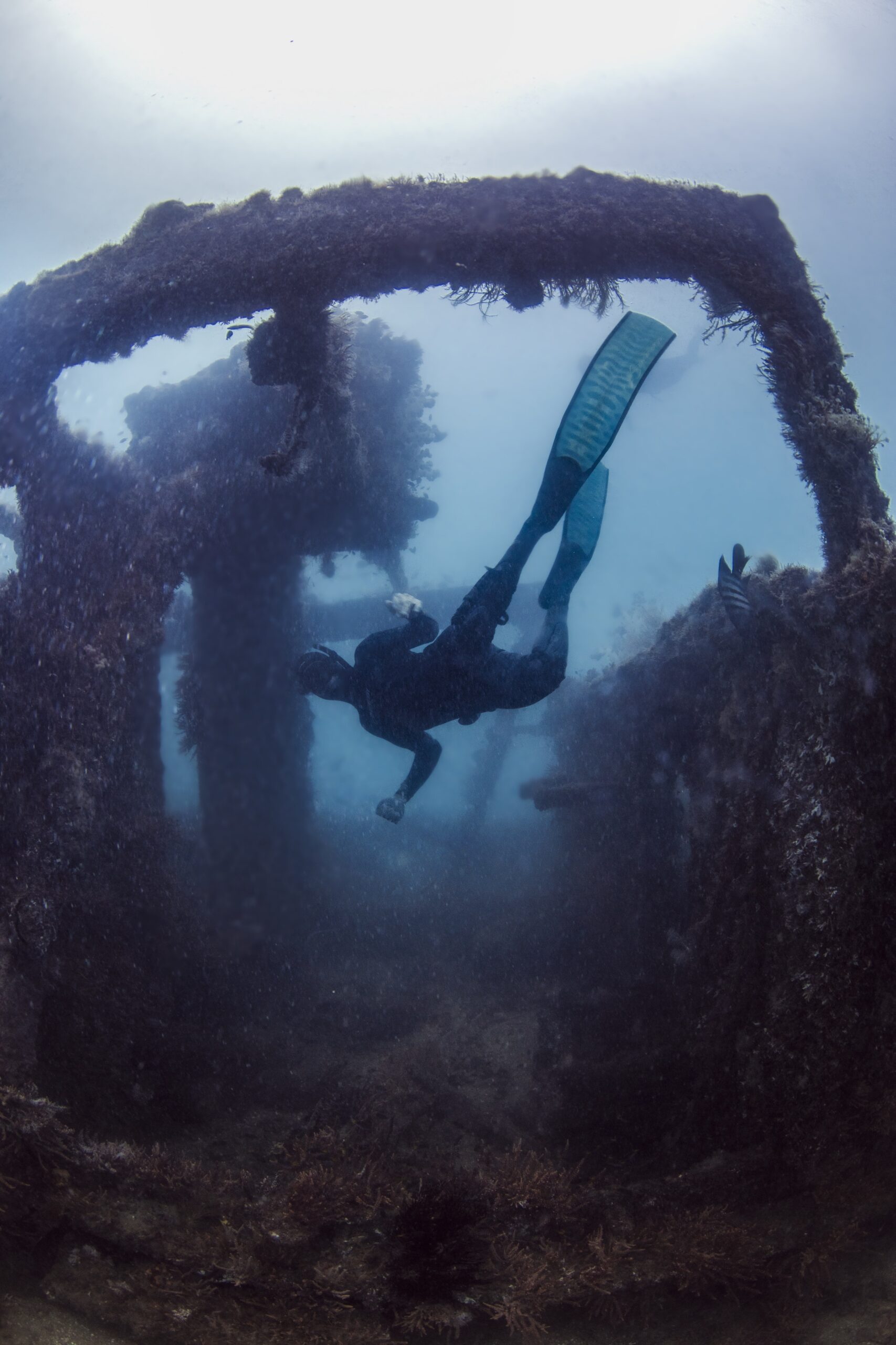 Free Diving