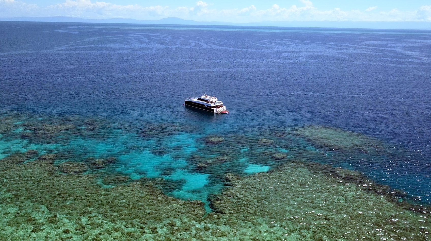 Guided Dive Trip - Outer Reef