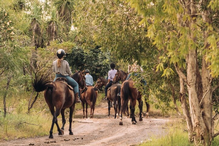 Horse Riding Adventure in the Outback
