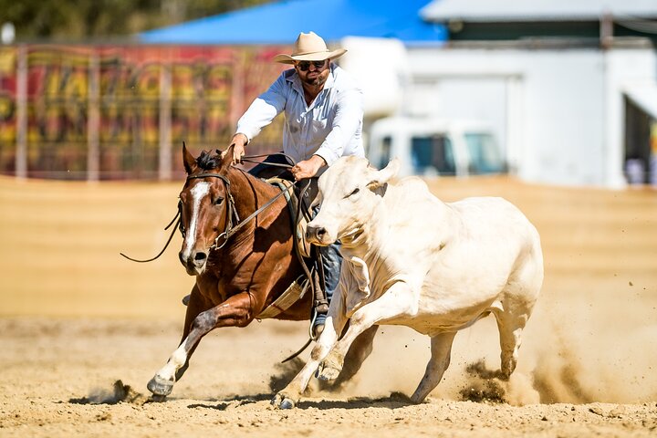 Horse Riding Adventure in the Outback