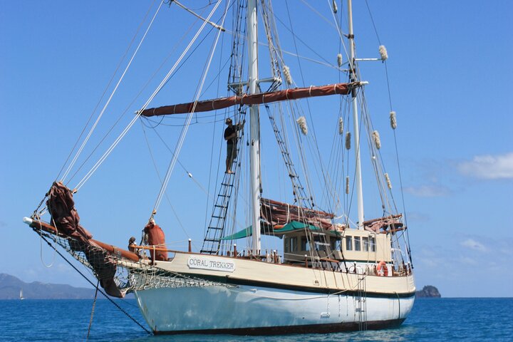 Sydney Harbour Cruise Tour by Tall Ship Coral Trekker with Lunch