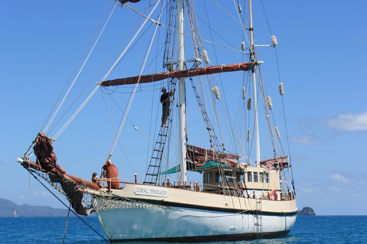 Afternoon Discovery Cruise on Coral Trekker