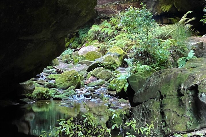 Private Blue Mountains Day Trip From Sydney