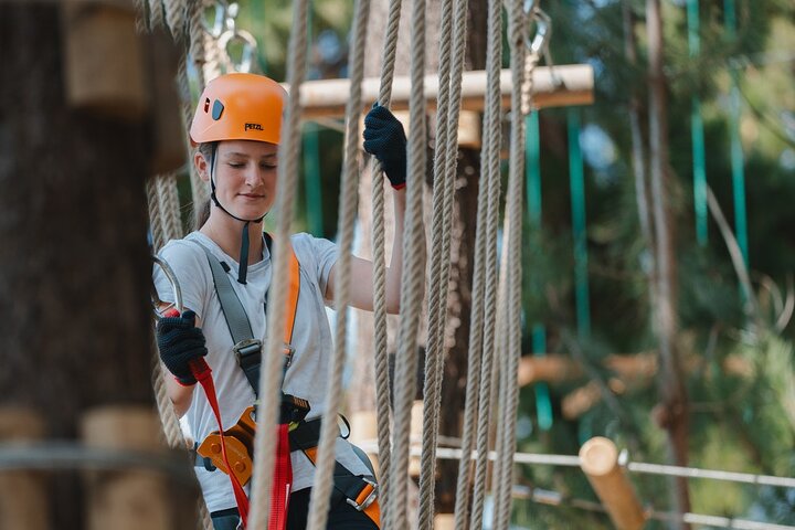 Guided Tree Ropes Course Experience in Majura Pines