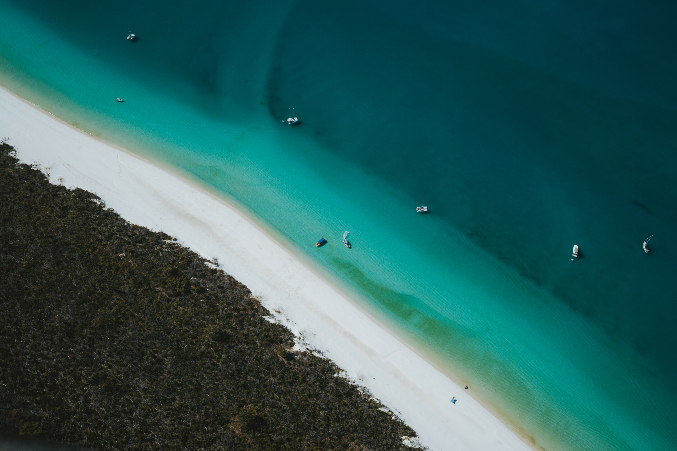 Viper Whitsunday Island Jet Boat Tour