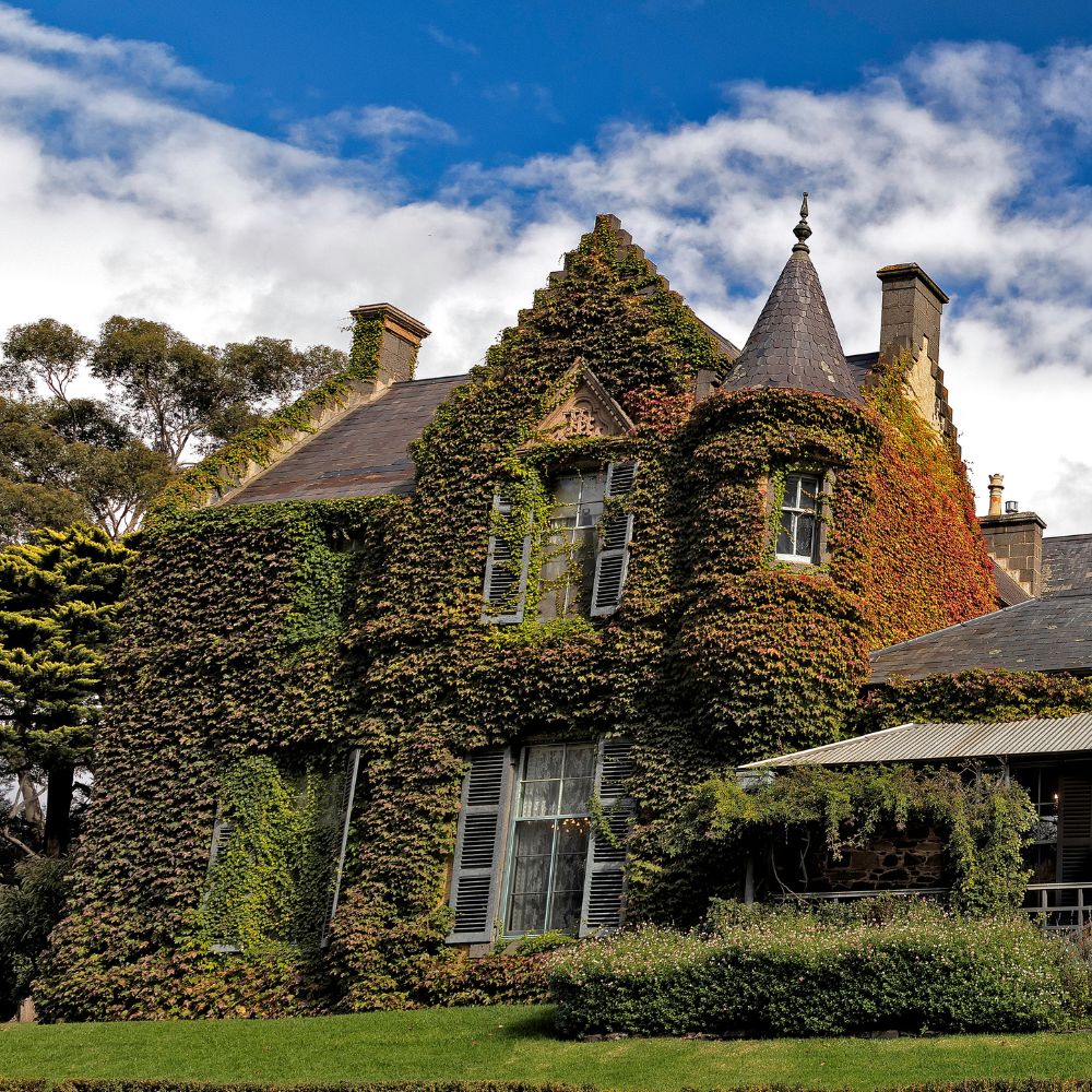 Sunday High Tea with a Full Castle Tour