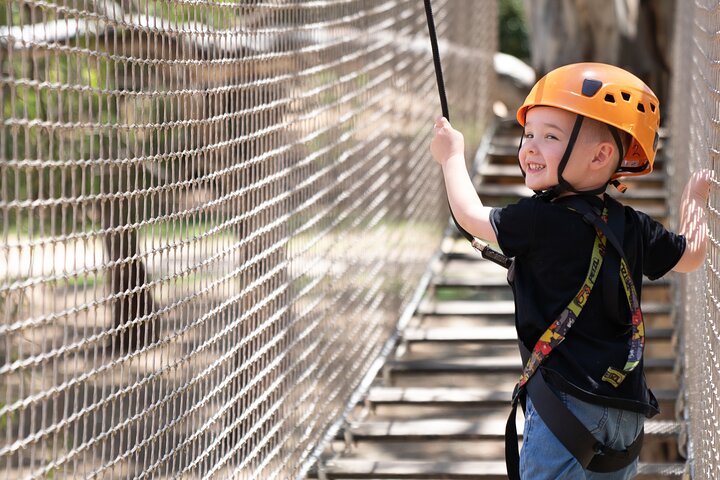 An exciting, Tree Top Adventure for Our Littlest Adventurers