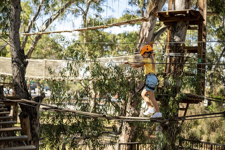 An exciting, Tree Top Adventure for Our Littlest Adventurers