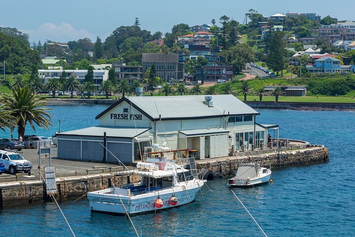 Private Jervis Bay Dolphin Watching Escape