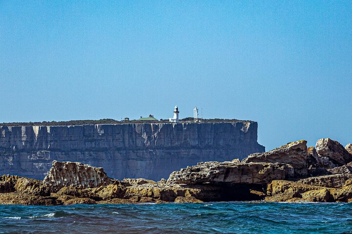 Private Jervis Bay Dolphin Watching Escape