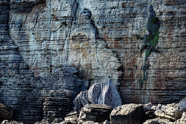 Private Jervis Bay Dolphin Watching Escape