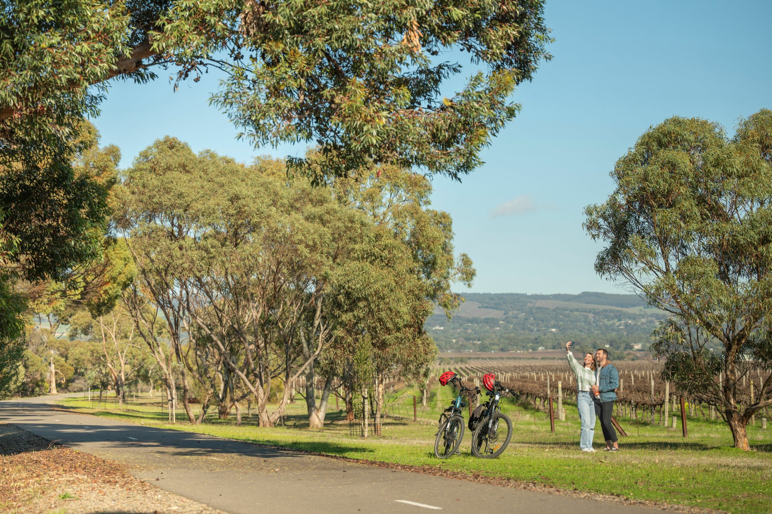 McLaren Vale Self-Guided E-Bike Tour