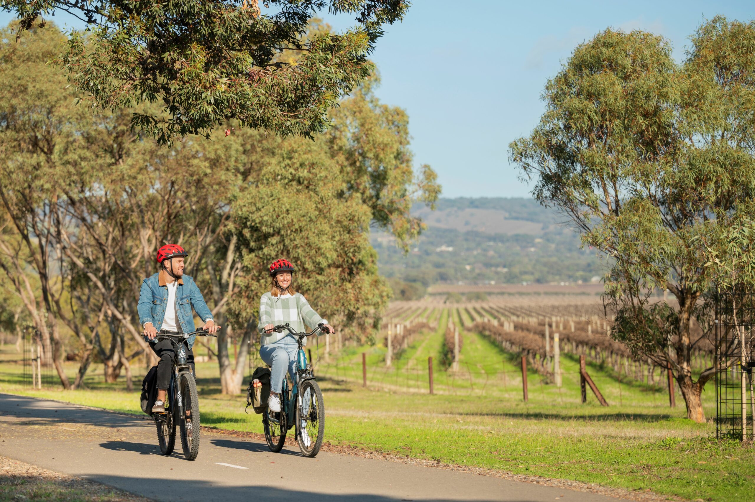 McLaren Vale Self-Guided E-Bike Tour