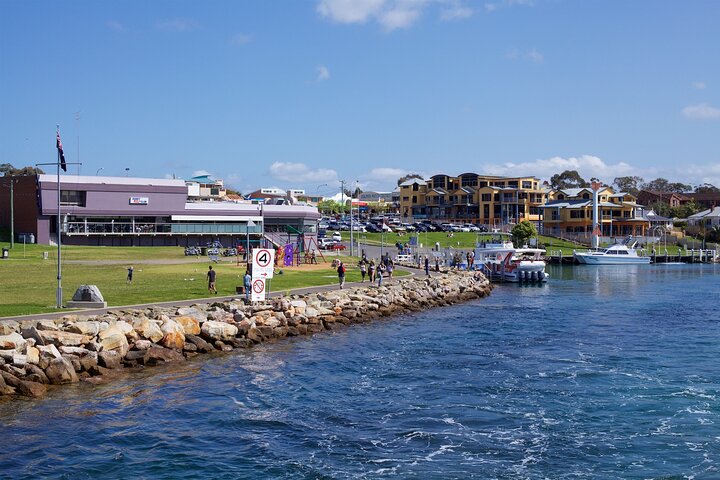 Private Jervis Bay Dolphin Watching Escape