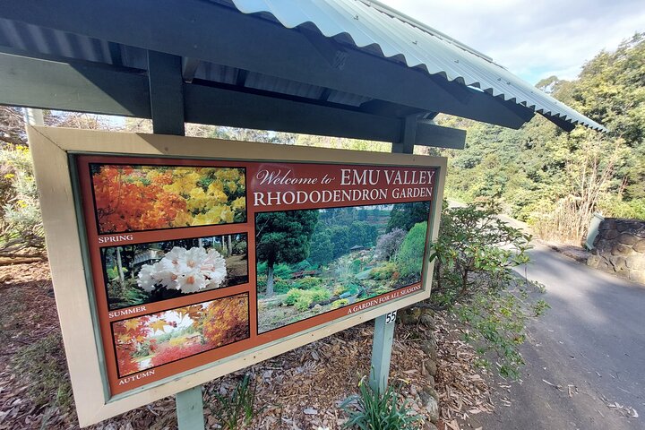 Emu Valley Rhododendron Gardens Burnie Shore Excursion