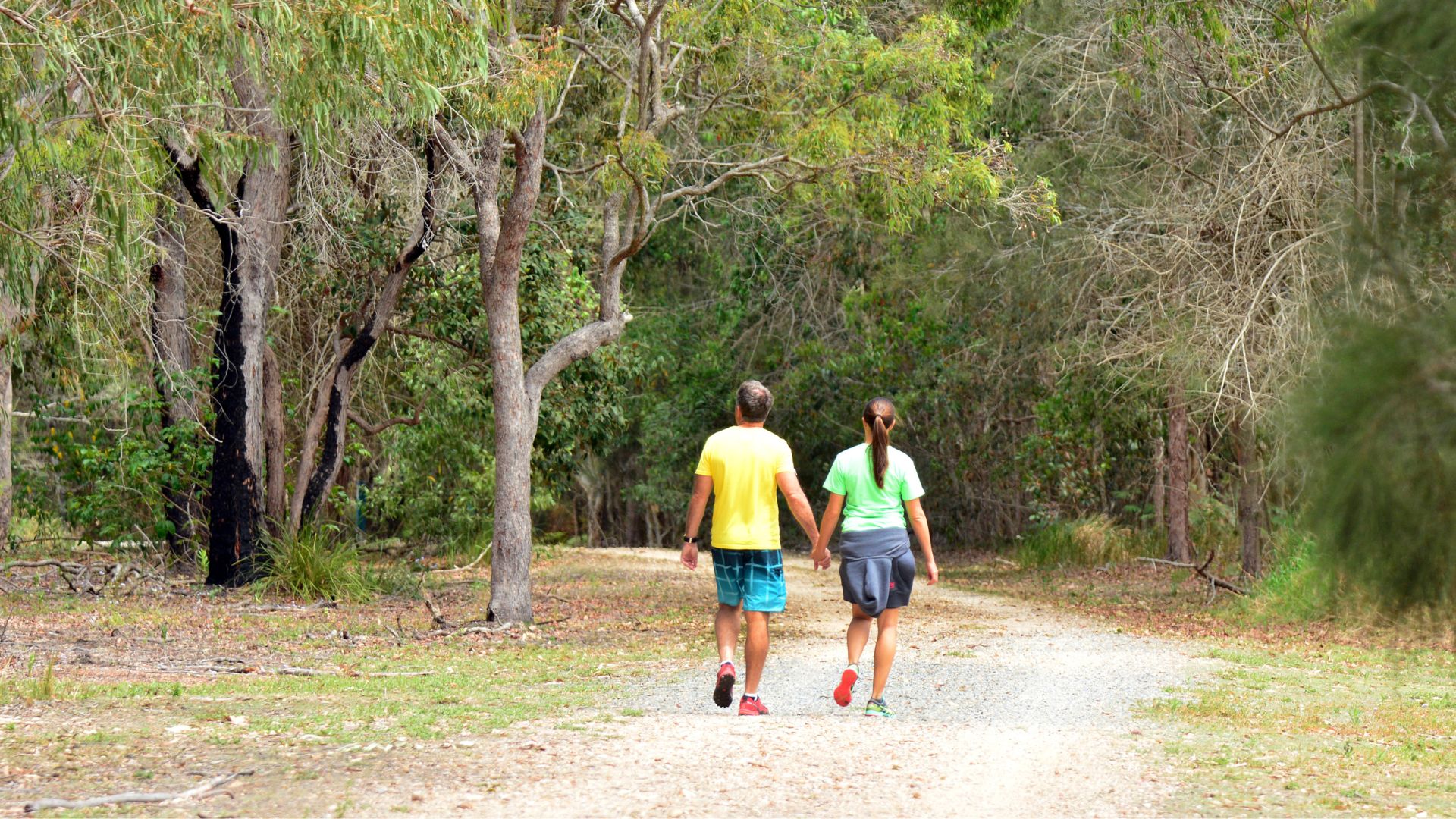 Kangaroos and Mountain Views