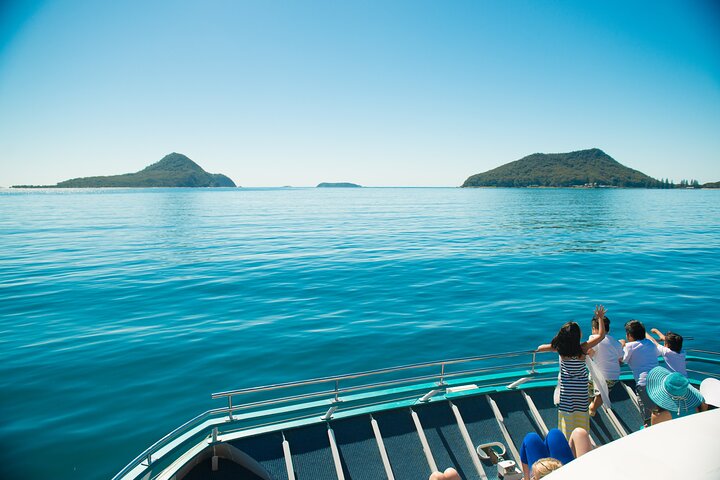 Port Stephens: Dolphin Discovery Cruise