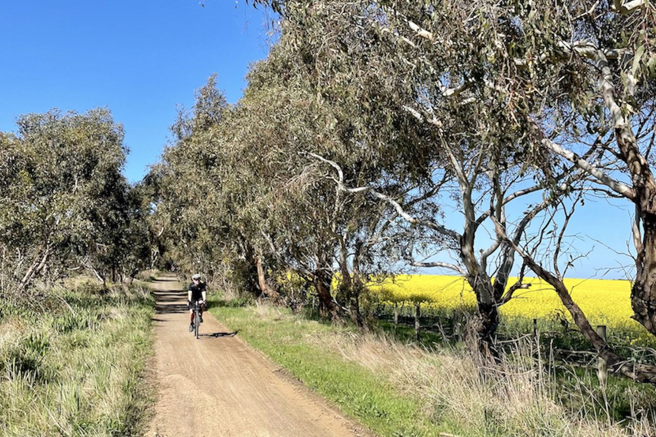 Greater Geelong & The Bellarine | Bellarine Rail Trail | Guided Food & Wine Bike Tour