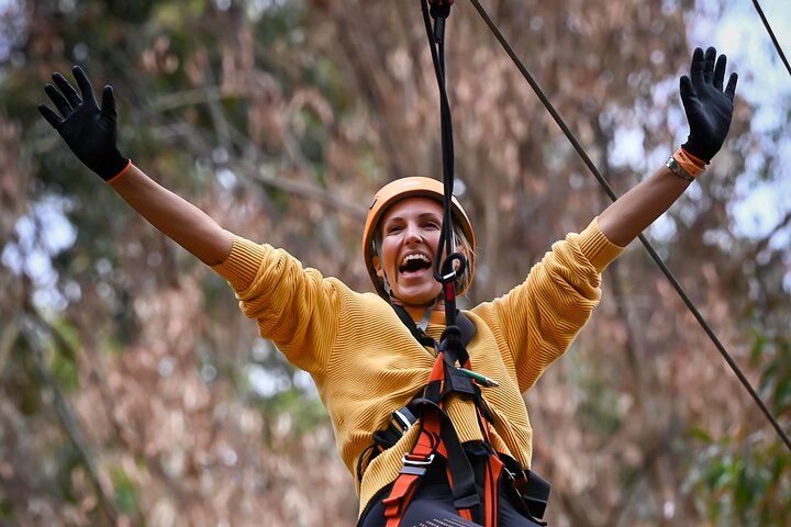 Zipline over the Heysen Trail & Through the Pines of Kuitpo