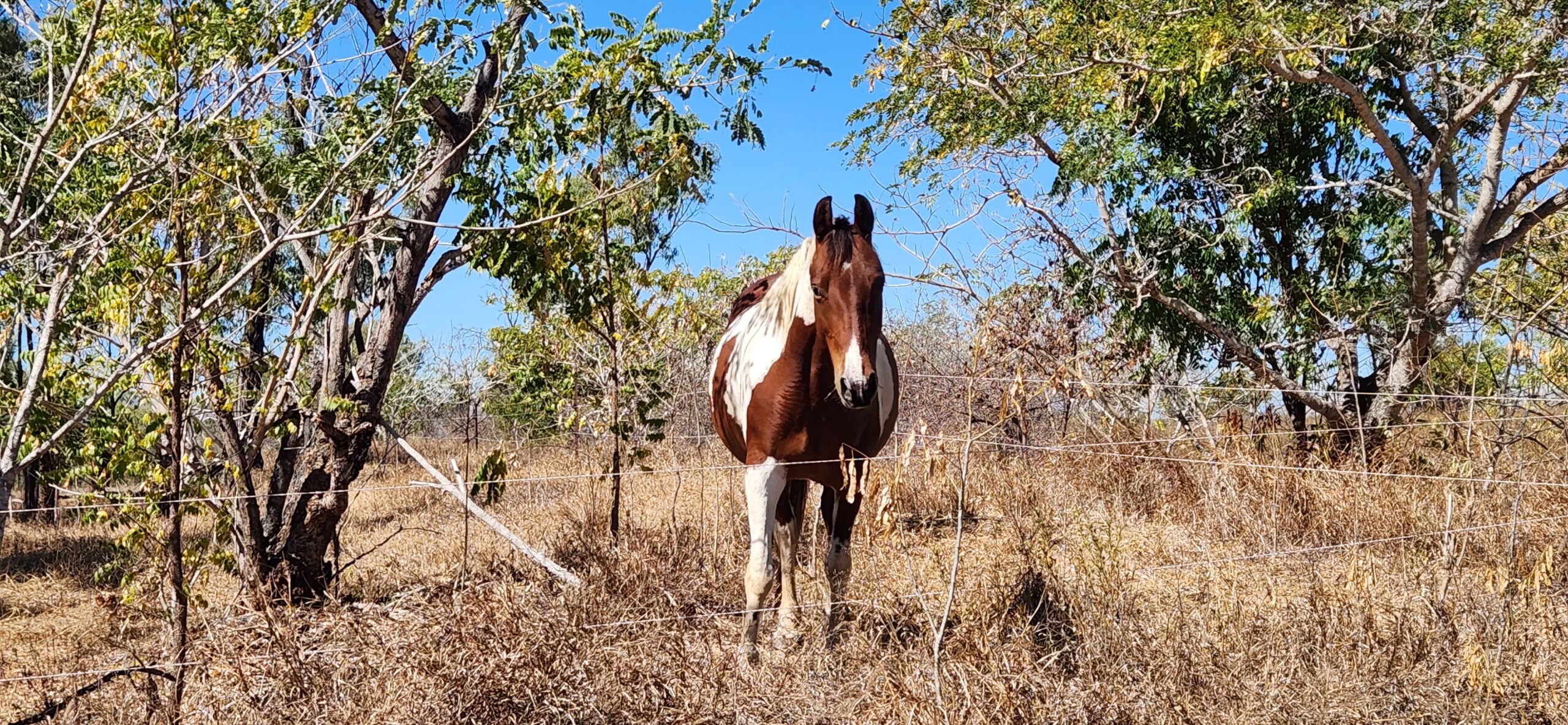 Beach to Bush - Whitsundays Outback Heritage Trail