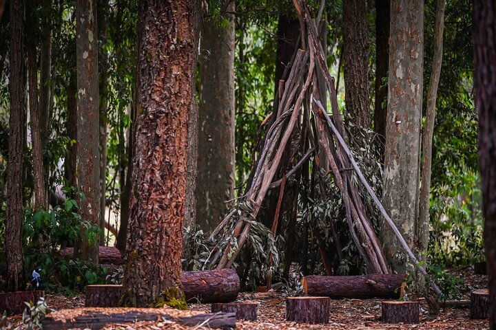 Zipline over the Heysen Trail & Through the Pines of Kuitpo