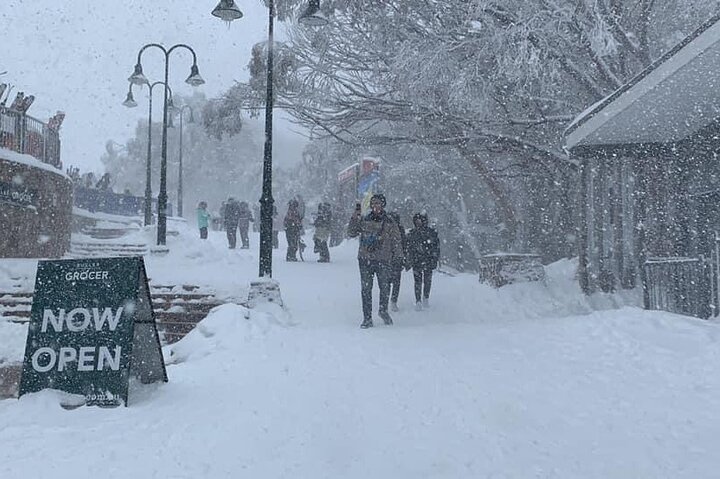 Small Group Premium Mt Buller Snow Tour with Morning Tea