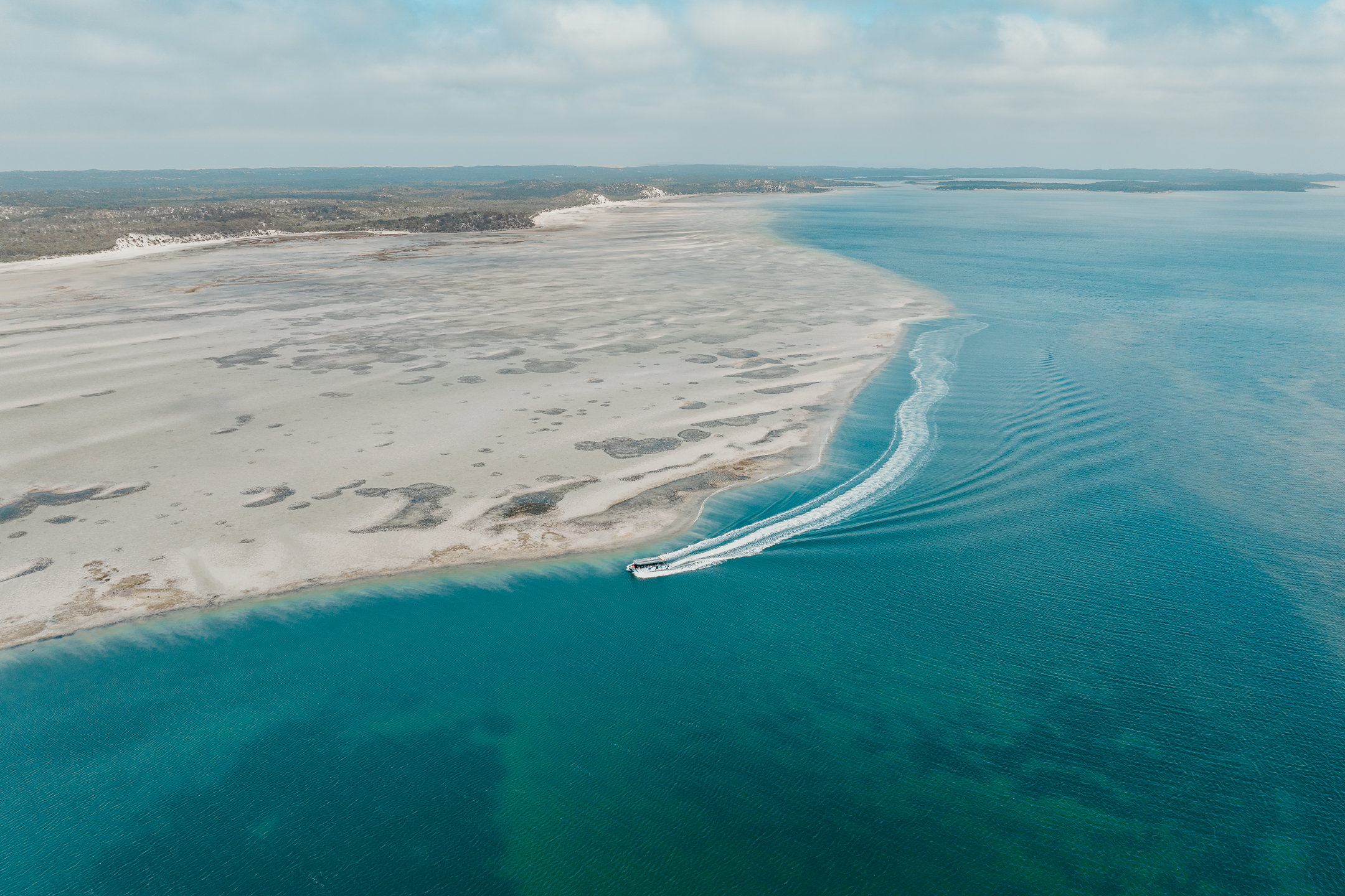 Premium Oyster Season Winter Tour Inc Wading - No Oysters