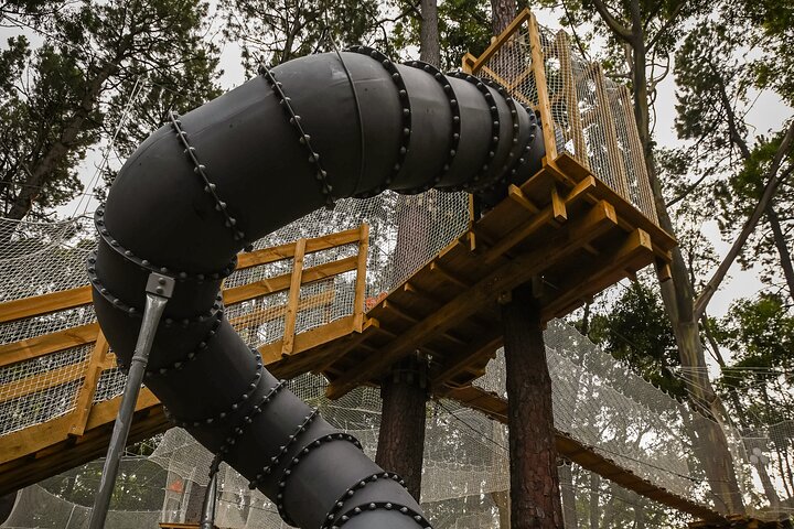 Zipline over the Heysen Trail & Through the Pines of Kuitpo