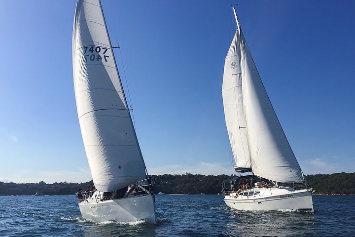 Sydney Harbour Sailing Experience