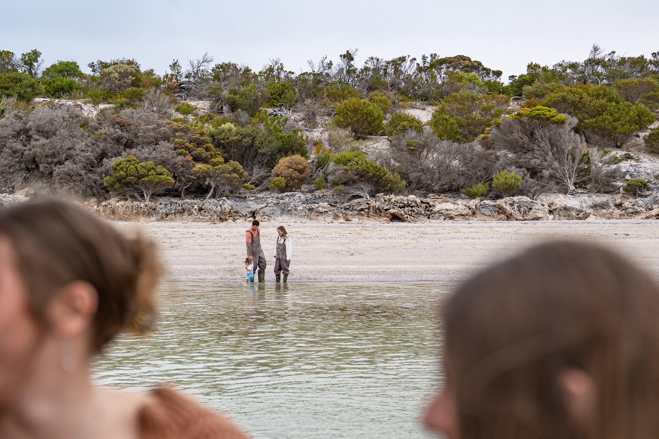 Premium Oyster Season Winter Tour Inc Wading - No Oysters