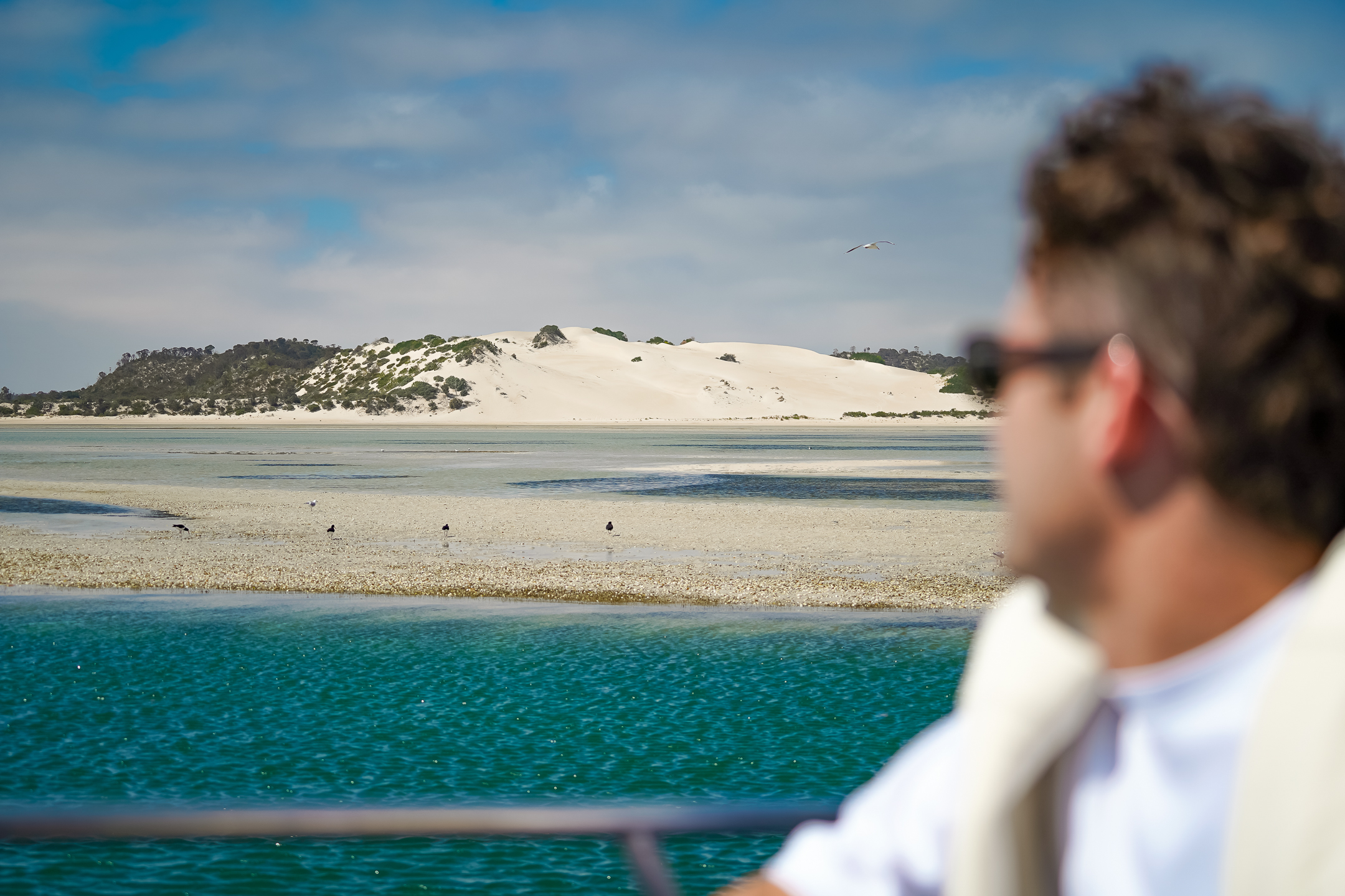 Premium Oyster Season Winter Tour Inc Wading - No Oysters