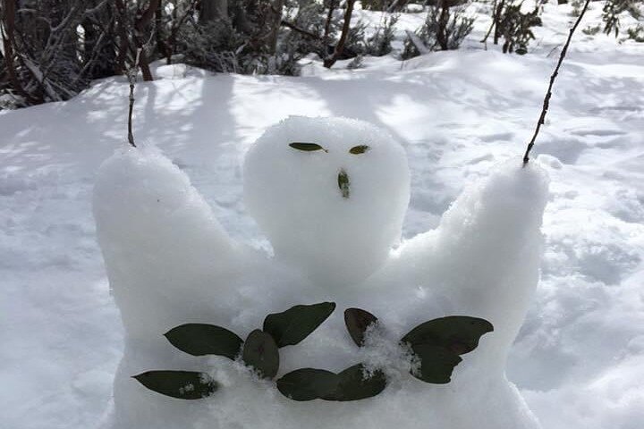 Small Group Premium Mt Buller Snow Tour with Morning Tea