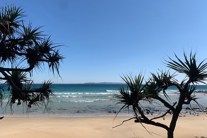 Private Transfer to or from Sunshine Coast Airport (MCY)
