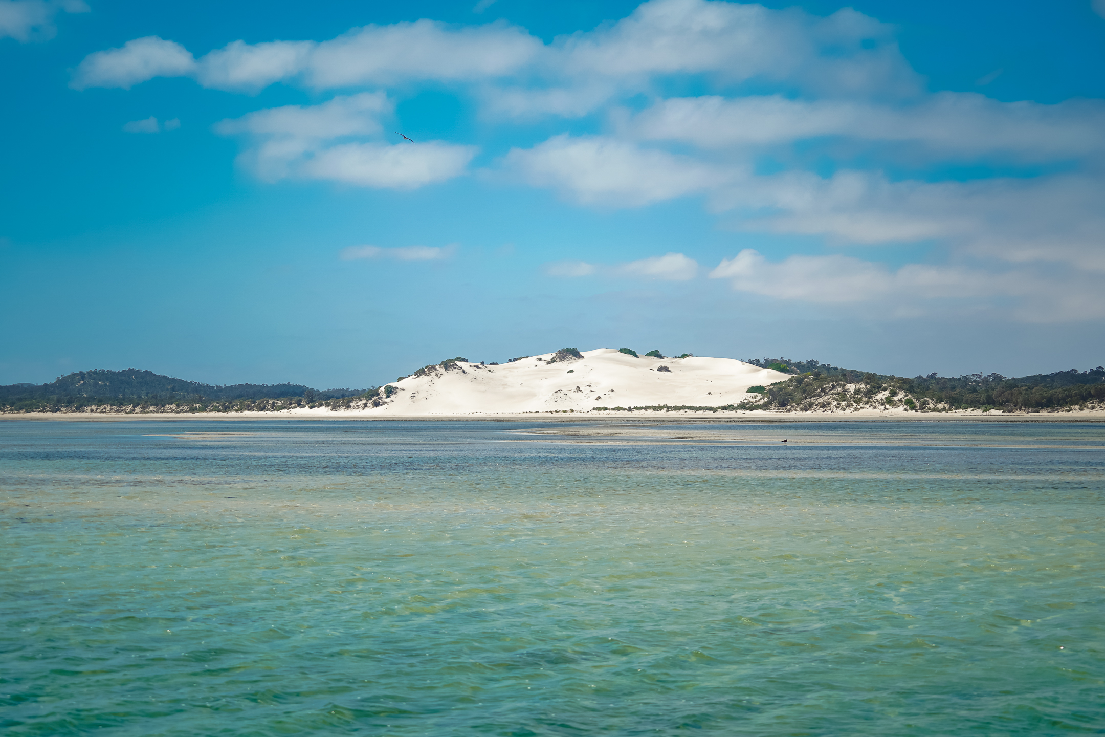 Premium Oyster Season Winter Tour Inc Wading - No Oysters